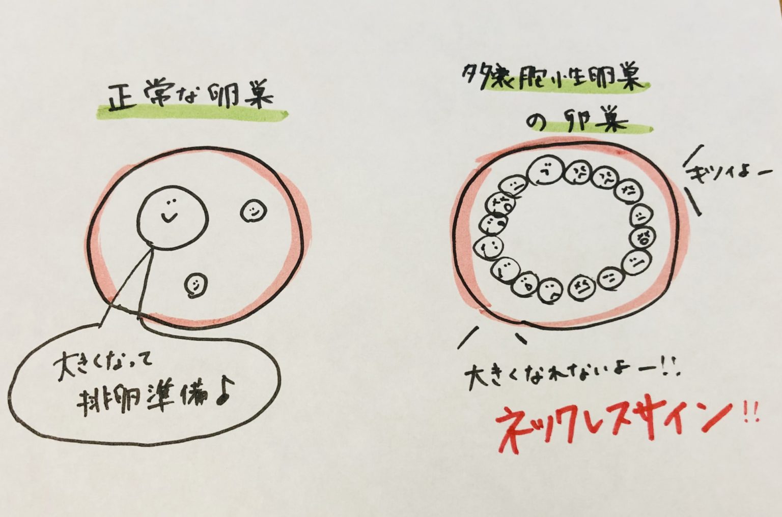 一般的な治療法